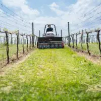 EA600_HarkVineyard_03899-2