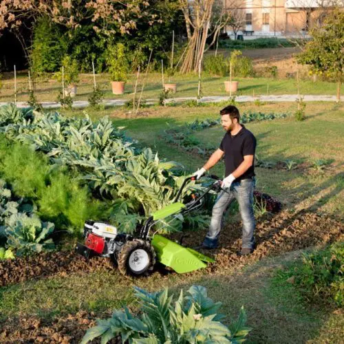 G84 Walking Tractor in Crop Patch Grillo G84 Rotary Hoe/Walk Behind Tractor