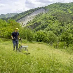 Grillo HWT600_700 WD Action Shot007