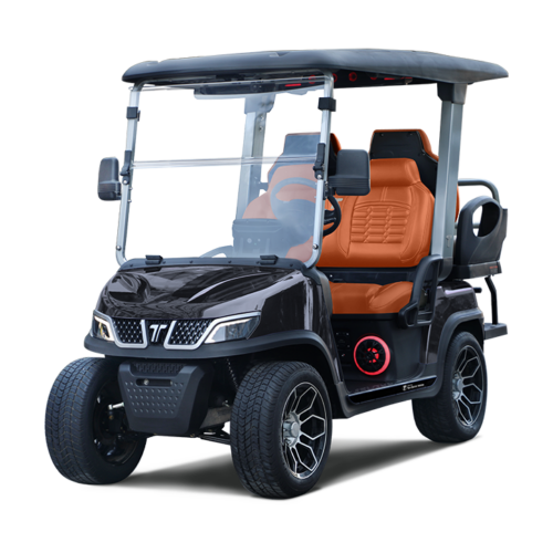 Tara Roadster 2 + 2 Lithium PTV Cart