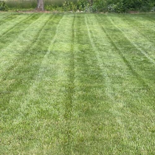 Excellent mower Happy Fathers Day to me