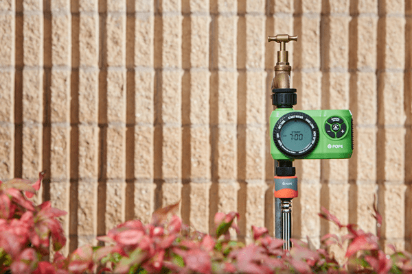 1010379-2-Snap-Shot-Green-In-situ-web