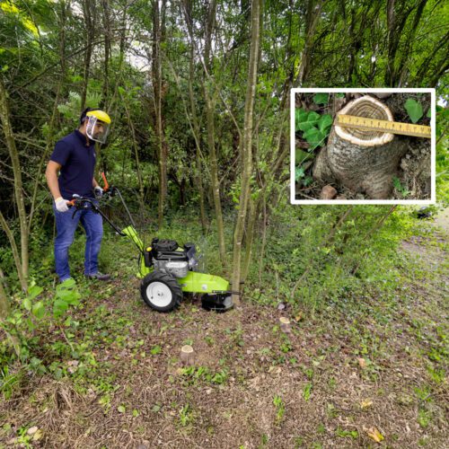 HWT700 String trimmer on path with saw blade attachment