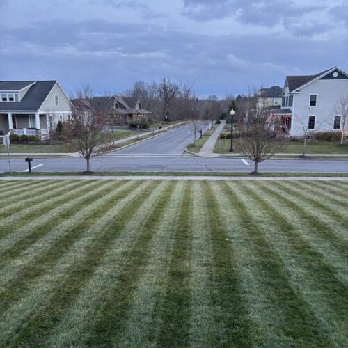 Great Personal Pace Mower