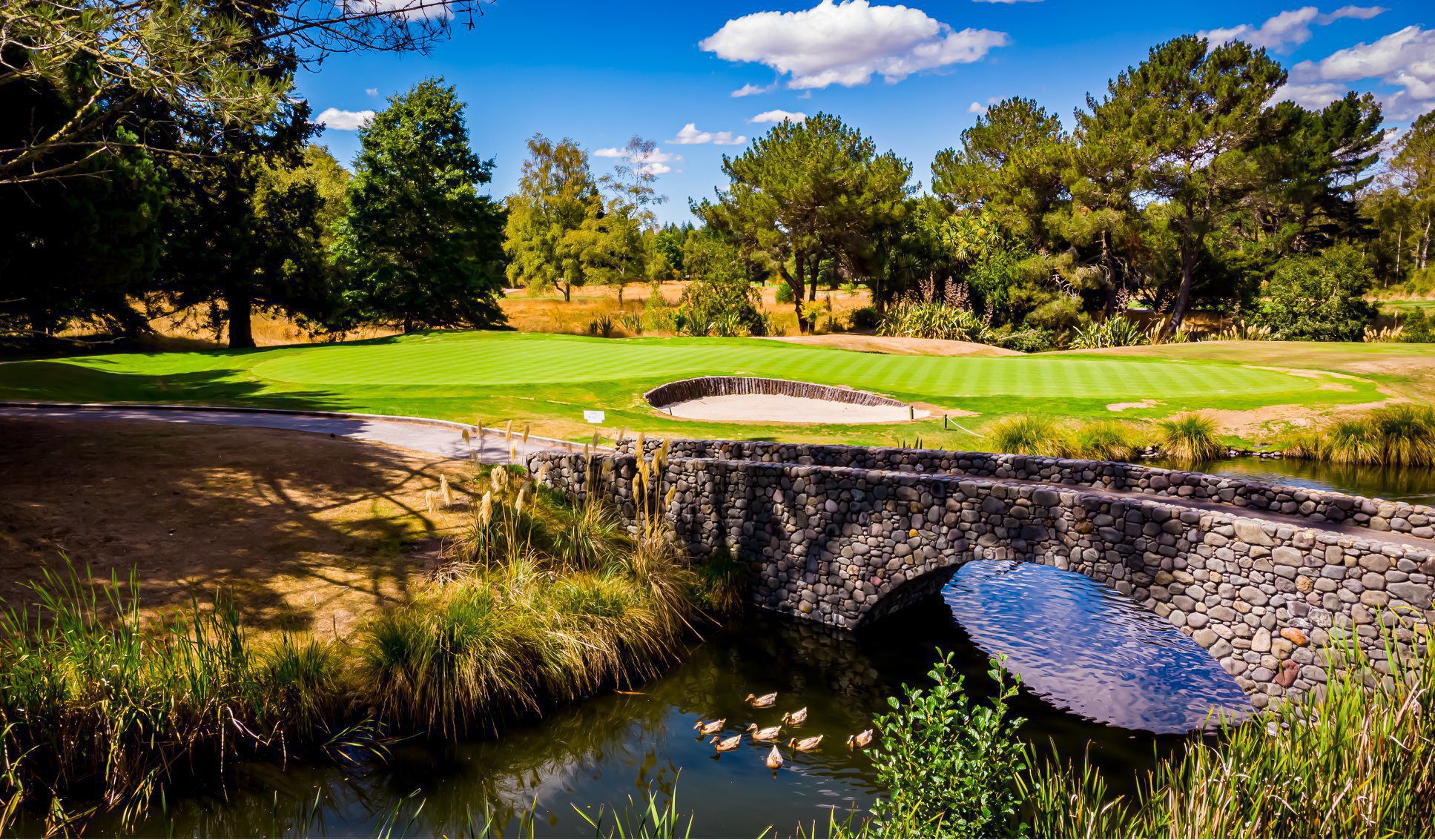 Case Study: Wairakei Golf & Sanctuary