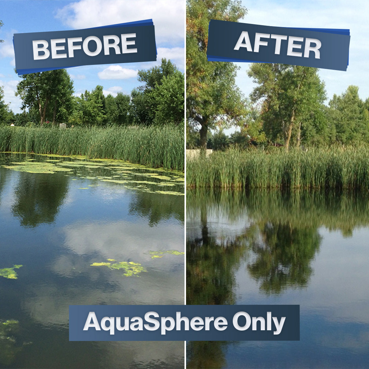 Biodegradeble Items. Items Mini AquaSphere® PRO Biodegradable Pond Treatment - Parkland - Lawn ...