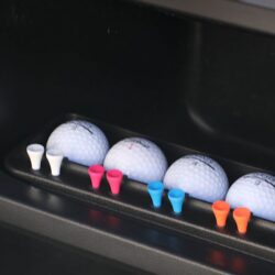 Golf balls and tees organized in a storage compartment of the electric cart for easy access