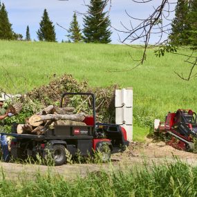 Loading Trees into Utility Vehicle