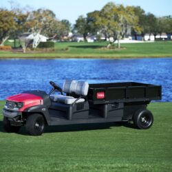 A red and black utility vehicle parked on grass near a lake, showcasing its design and seating