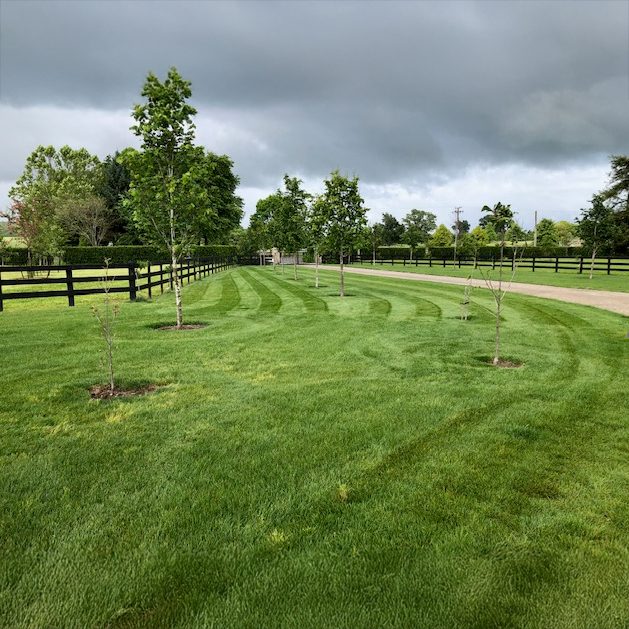 Customer Photo 2 Customer Photo 2