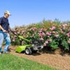 Grillo G52 Rotary Hoe/Walk Behind Tractor by a flower bed