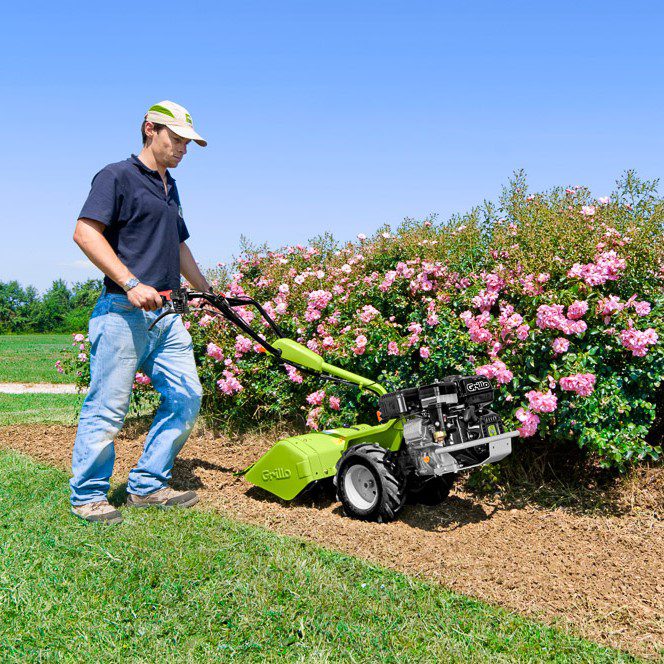 G52 by flower bed #2 sq G52 by flower bed #2 sq