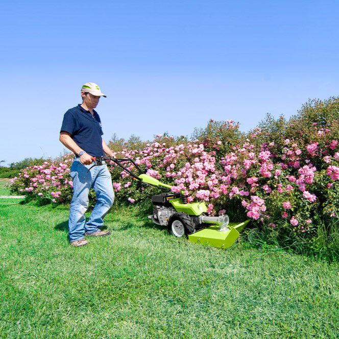 G52 by flower bed sq G52 by flower bed sq