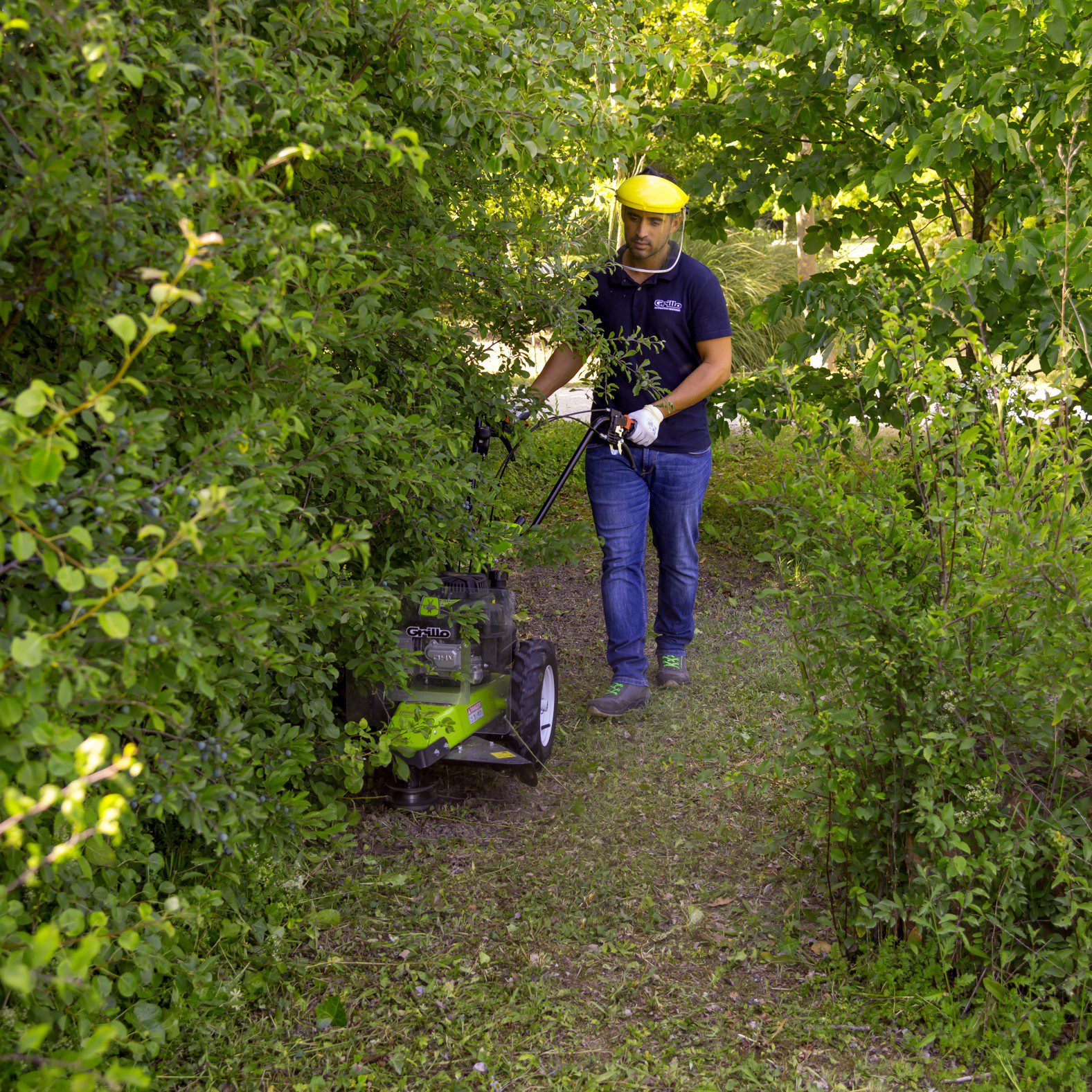 Grillo HWT600_700 WD Action Shot008 Grillo HWT600_700 WD Action Shot008