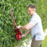 Hedge_3_1x1