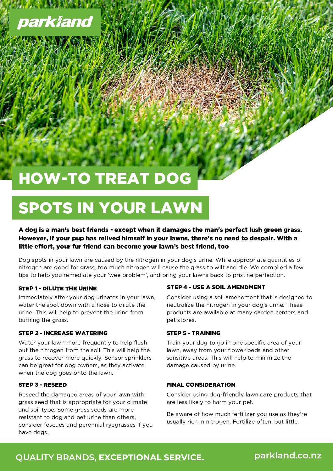 How to treat dog spots in your lawn