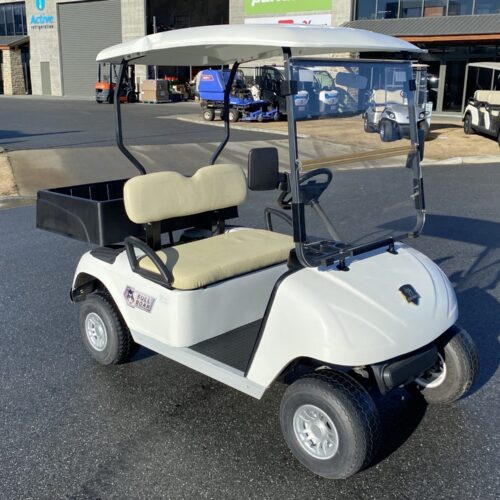 Marshell 2018 Electric Golf Cart | USED
