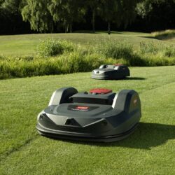 IN25_6160L_Turf_Pro_MG_7163_b Kopie