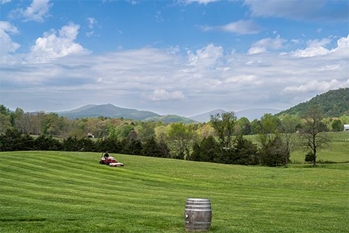 A red mower cuts stripes in a lush green field with mountains and blue sky in the background
