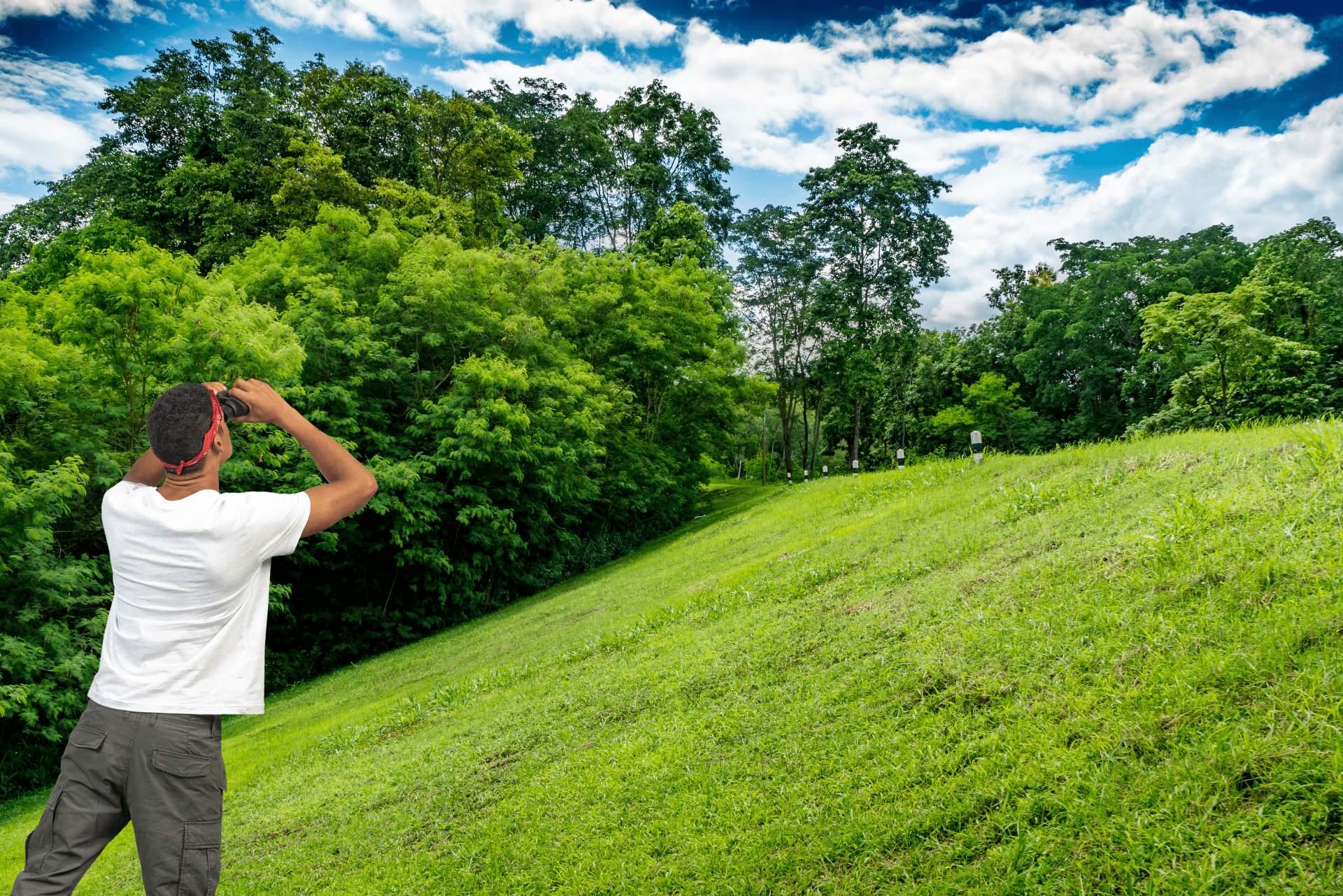 How to safely mow steep slopes