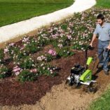 Grillo Princess MR Rotary Tiller by flower beds