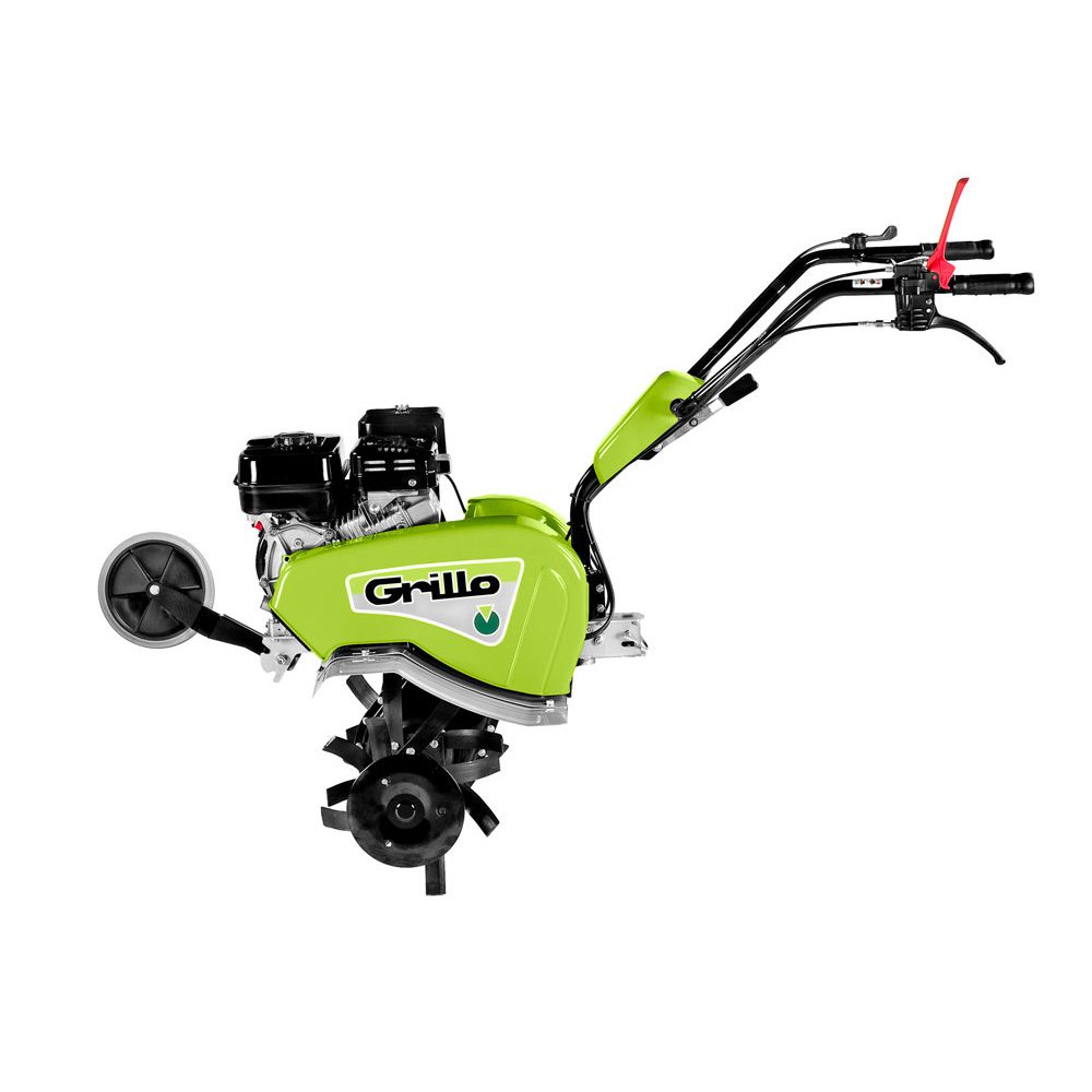 Princess MR image (2) Princess MR image (2)