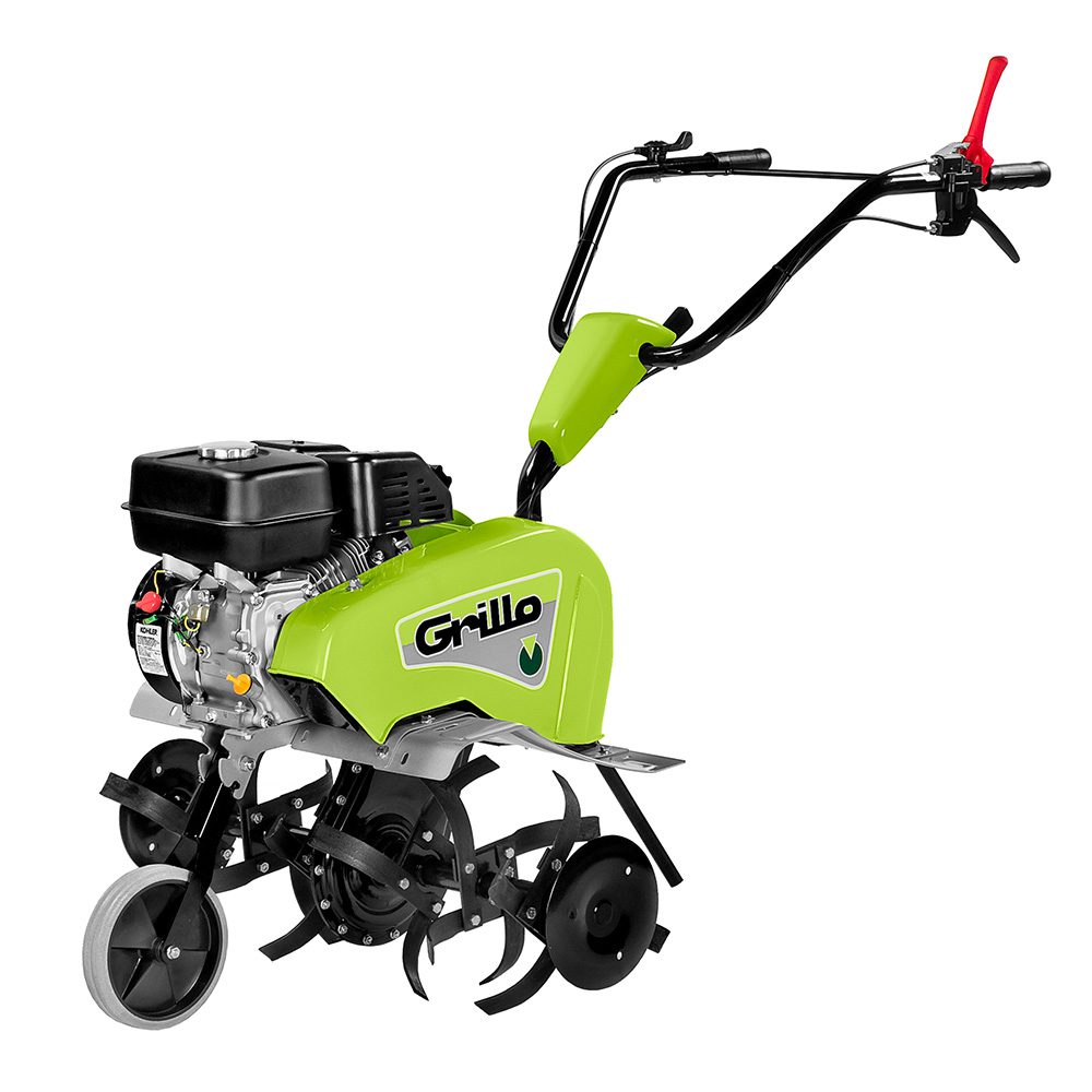 Princess MR image (5) Princess MR image (5)