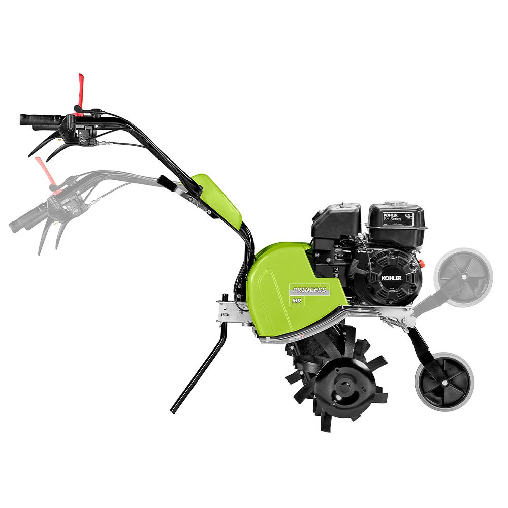 Princess MR image (6) Princess MR image (6)