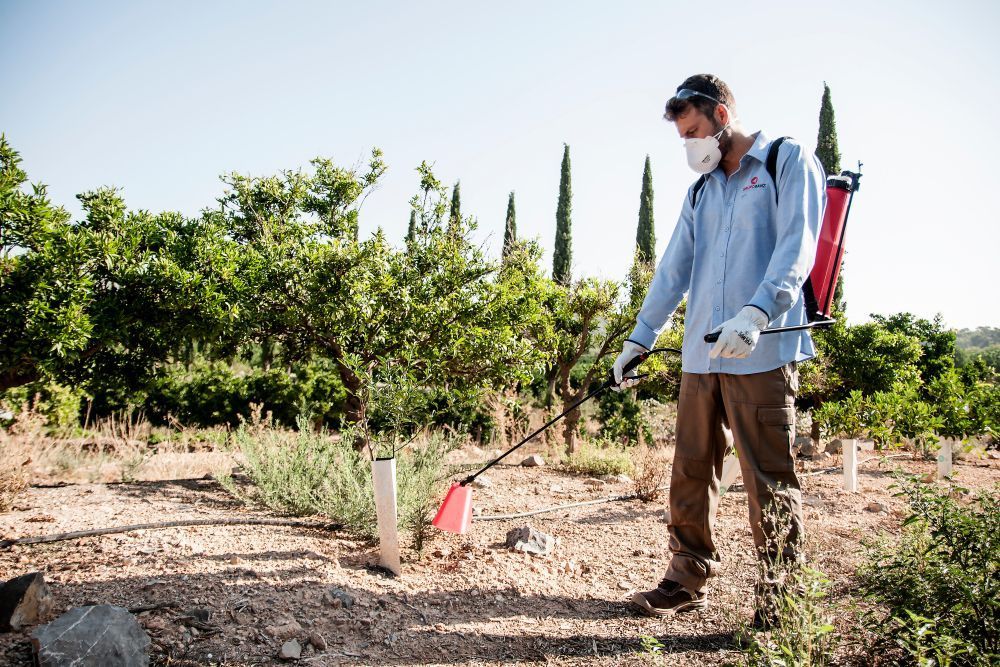 Pulmic Raptor 16 Advanced Electric Sprayer Pulmic Raptor 16 Advanced Electric Sprayer on crops