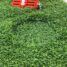 Cutting tool for circular cutting in artificial turf.