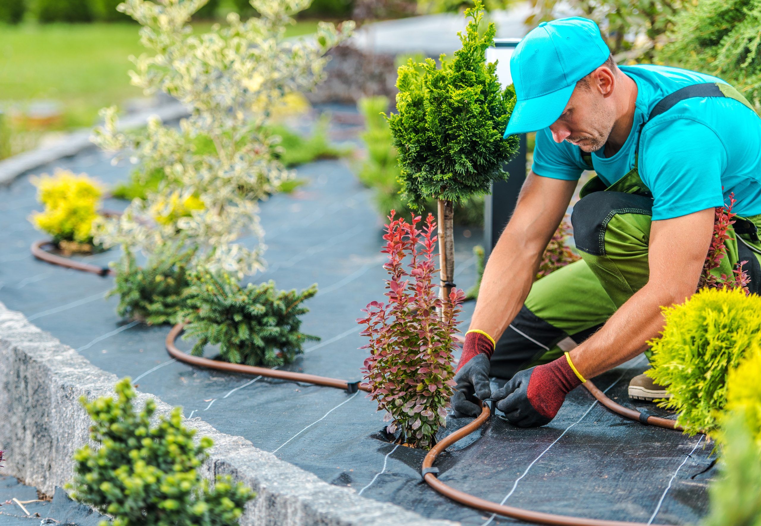 Cultivating Efficiency: Calculating the Ideal Flow Rate for Your DIY Home Irrigation System