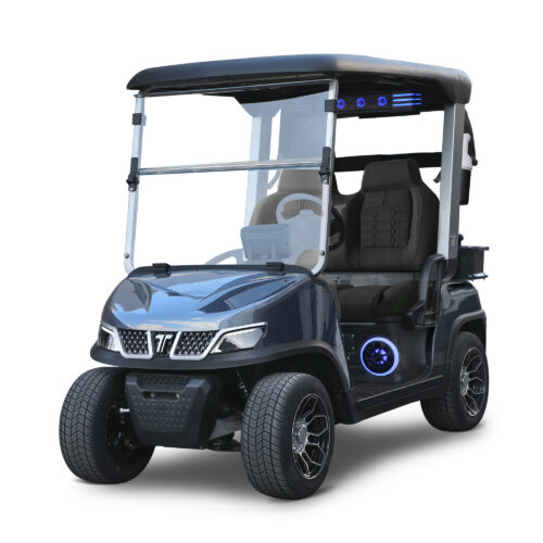 Tara Golf Cart Spirit Pro PLUS Lithium - Arctic Gray w/ Black Seats