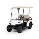 Toro Vista 4 Seater Petrol (EFI) Passenger Transport Vehicle