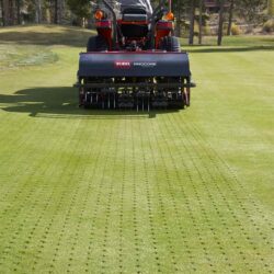 Two Behind Corer on Turf