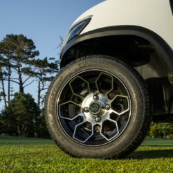 Tara_Cart_Parkland-2026-SJP-02