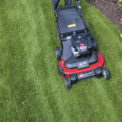 A person uses a red and black Toro lawn mower on a neatly striped green lawn