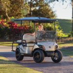 Yamaha Drive2 QuieTech EFI | Petrol 2 Seater Golf Cart – PTV