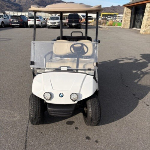 Yamaha PTV Golf Cart 2007 | Converted Lithium 105Ah 