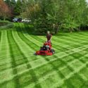 A person operates a red stand-on mower, cutting striped grass in a landscaped yard