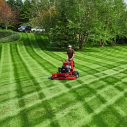 A person operates a red stand-on mower on a striped green lawn, surrounded by trees and a vehicle