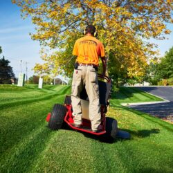 A person operates a red stand-on mower on a grassy area with autumn trees in the background
