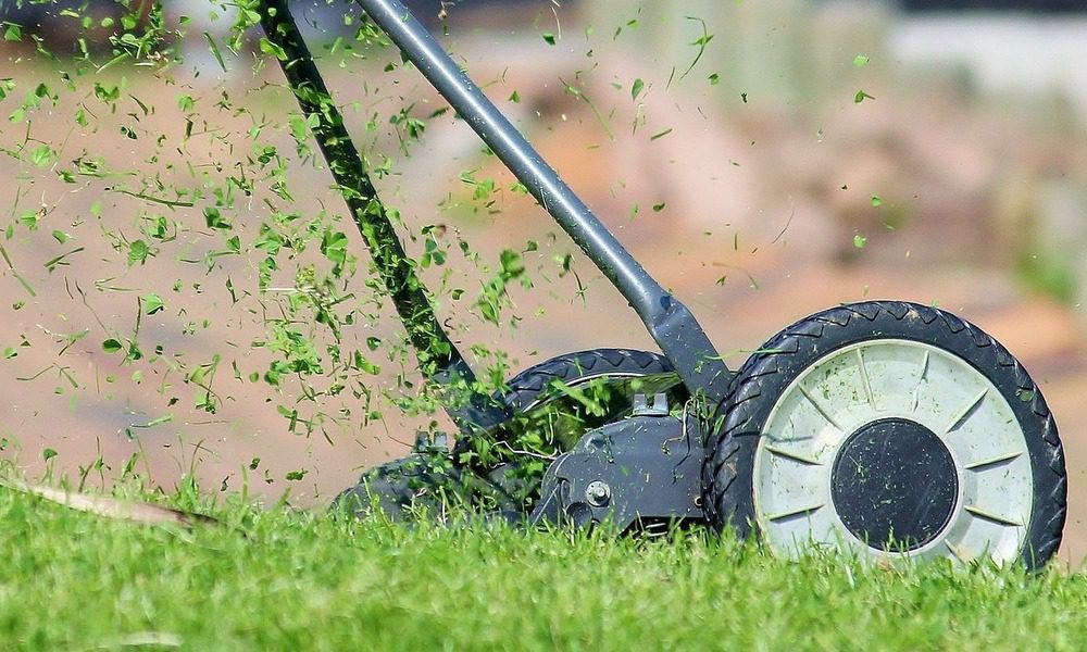 Grass Clippings – when to mulch and when to bag?