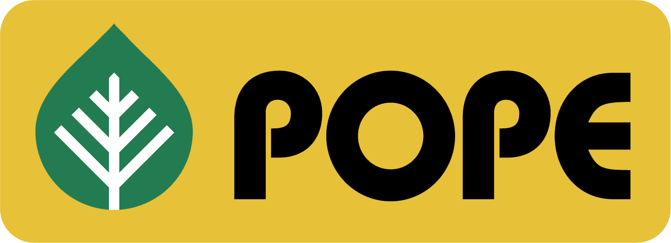pope logo bigger