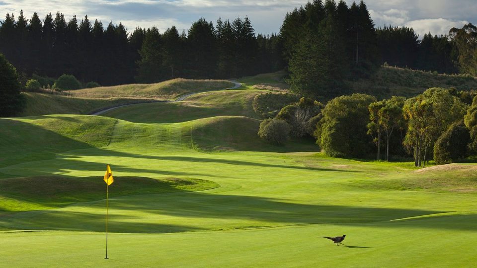 Wairakei Golf + Sanctuary